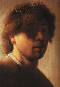 A young Rembrandt